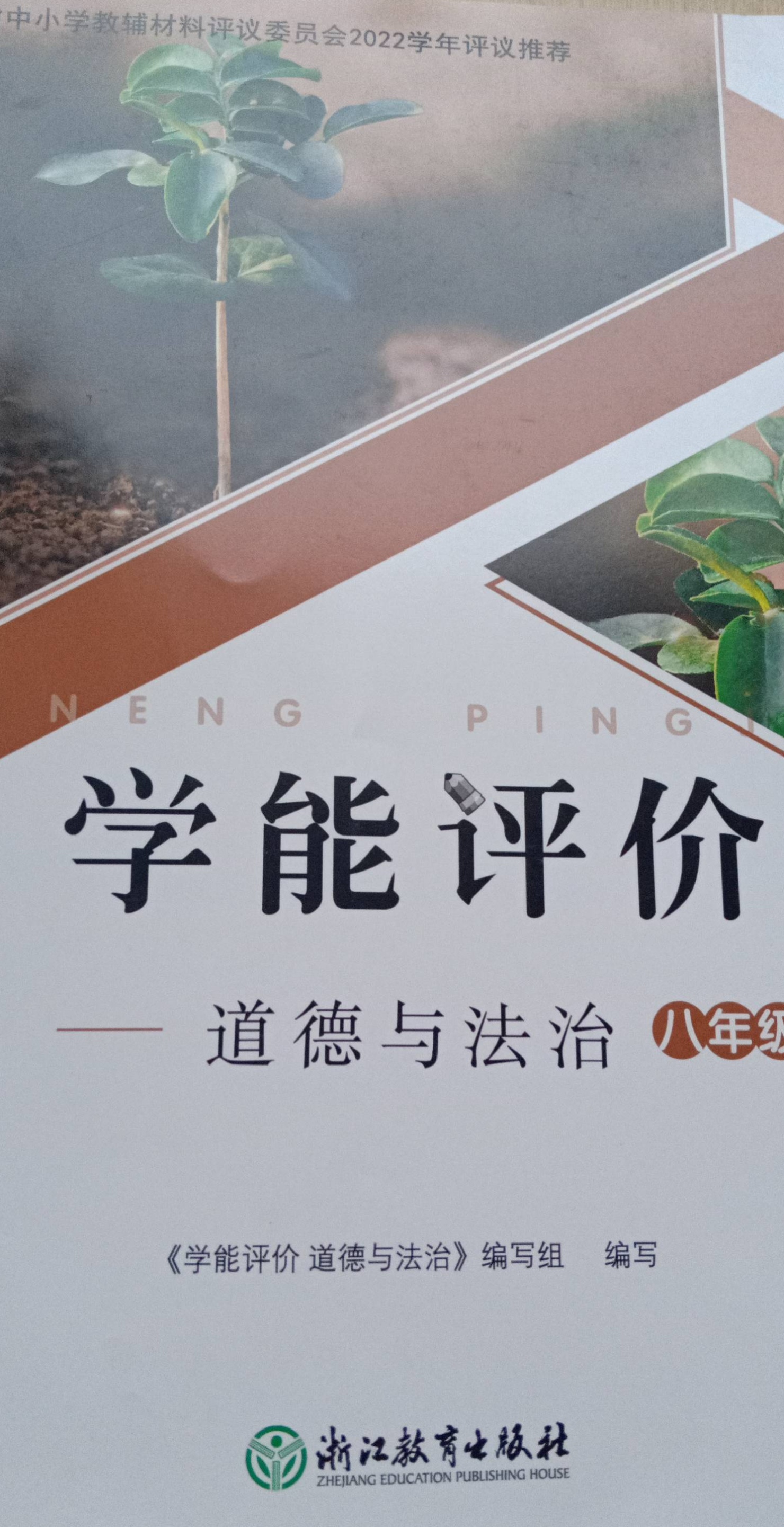 2023年学能评价八年级政治下册浙教版