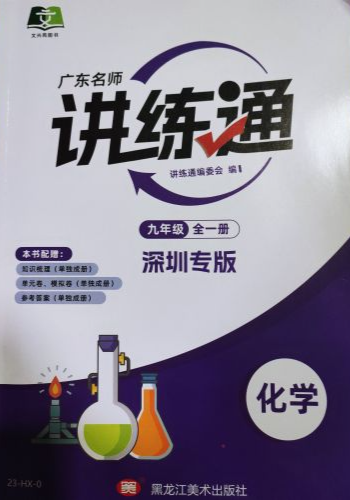 2024年广东名师讲练通九年级化学全册其他深圳专版