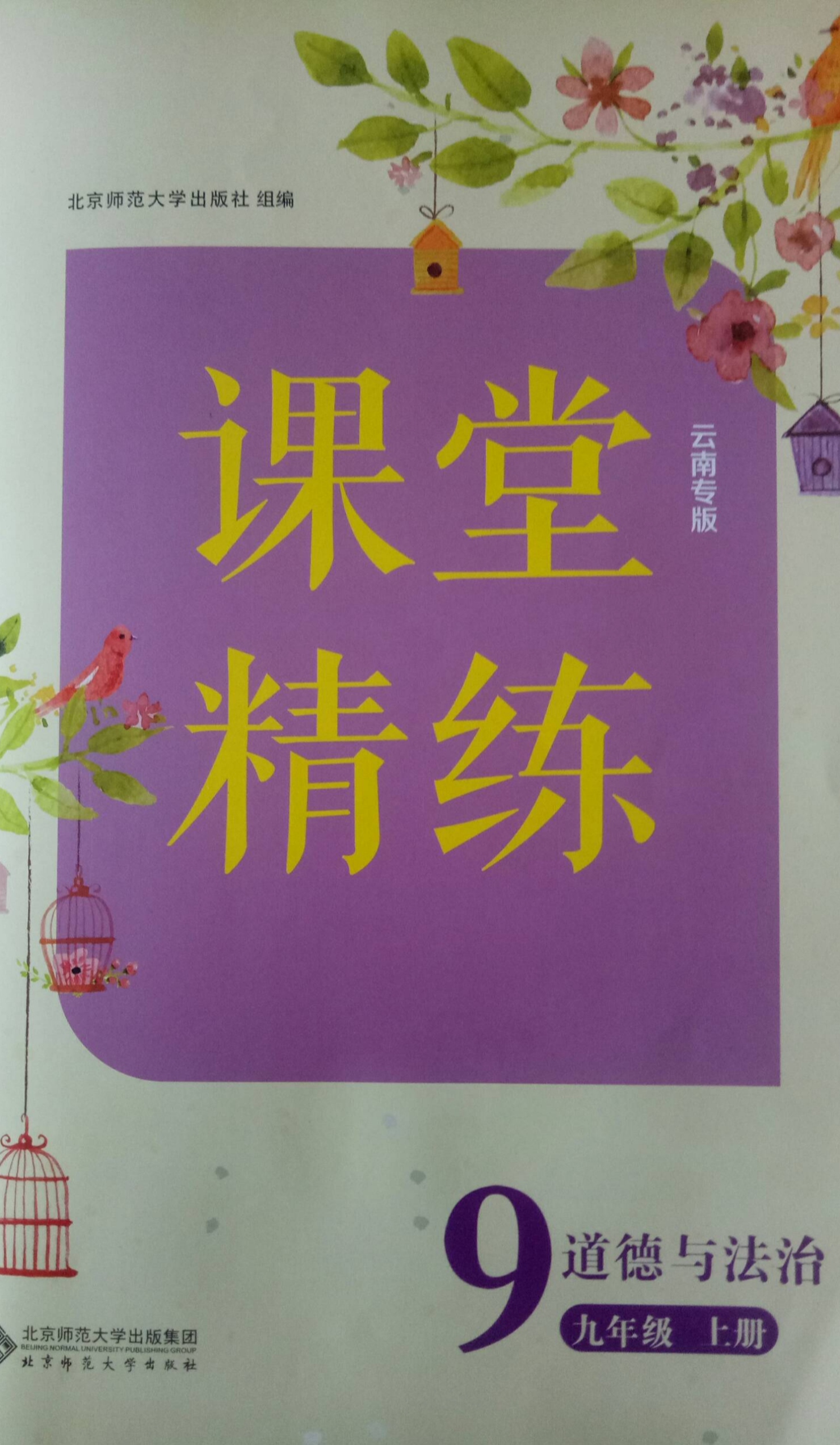 2023年课堂精练九年级政治上册其他云南专版