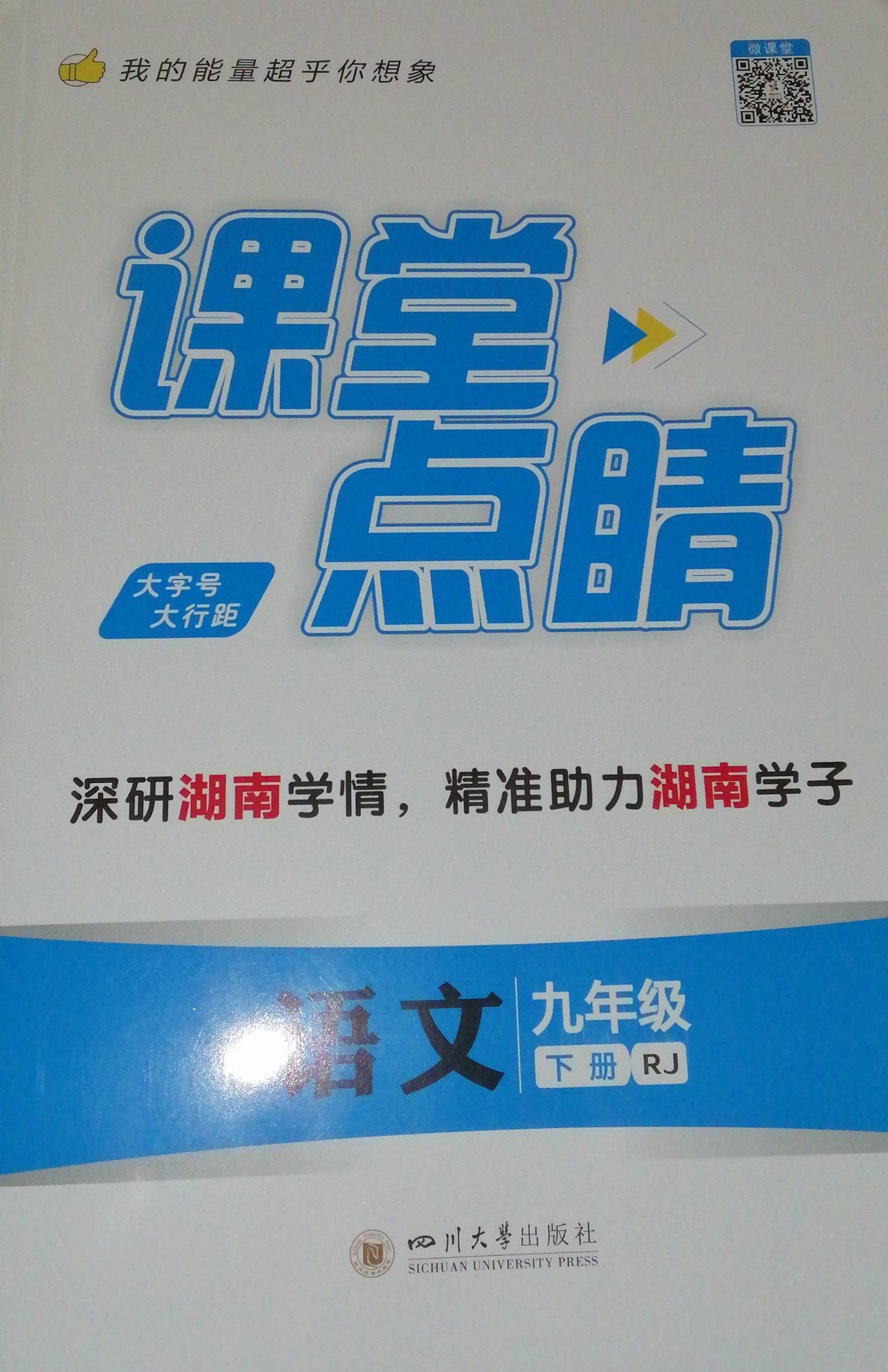 2024年课堂点睛九年级语文下册人教版湖南专版