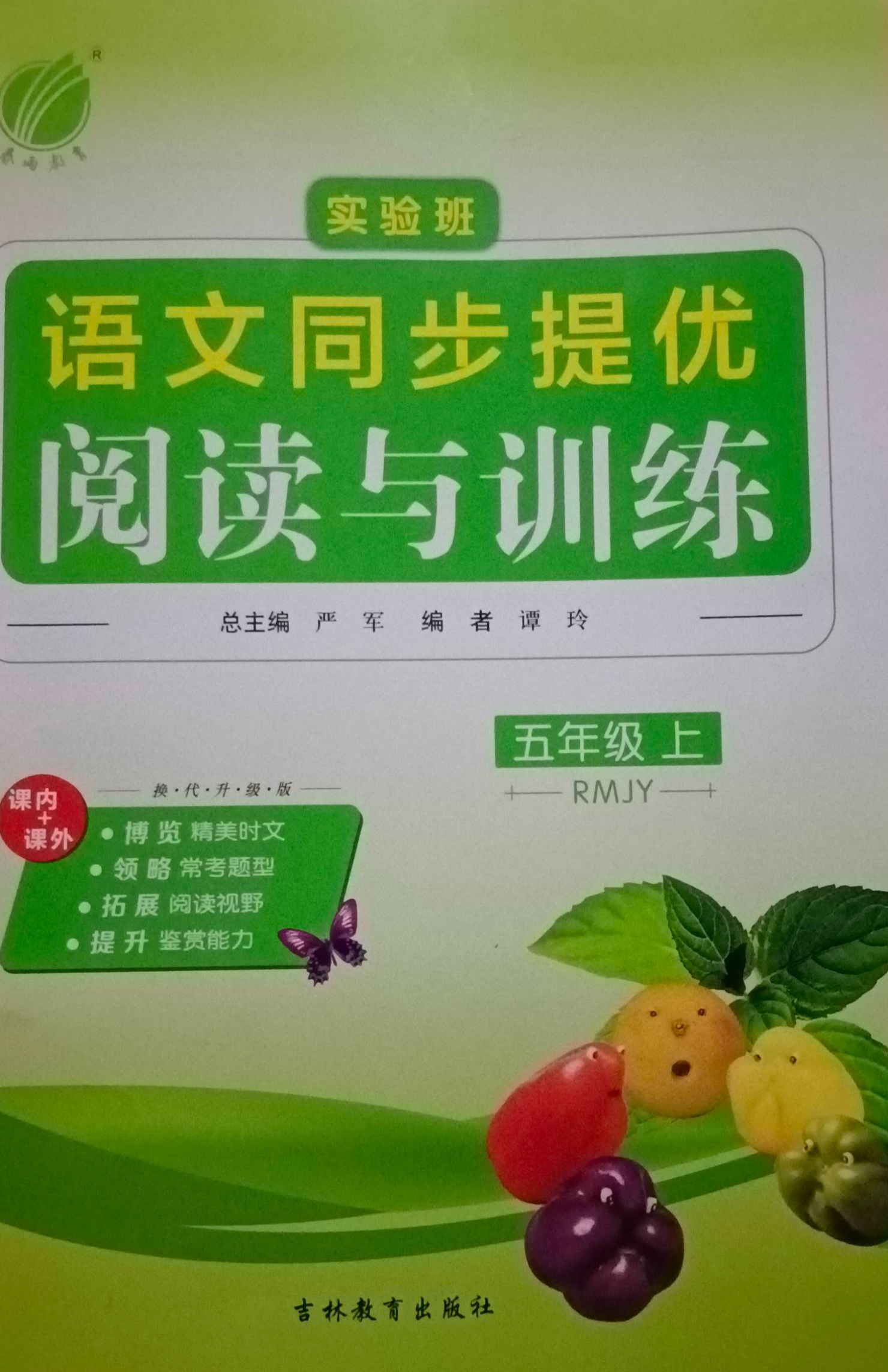 2023年实验班同步提优阅读与训练五年级语文上册RMJY版