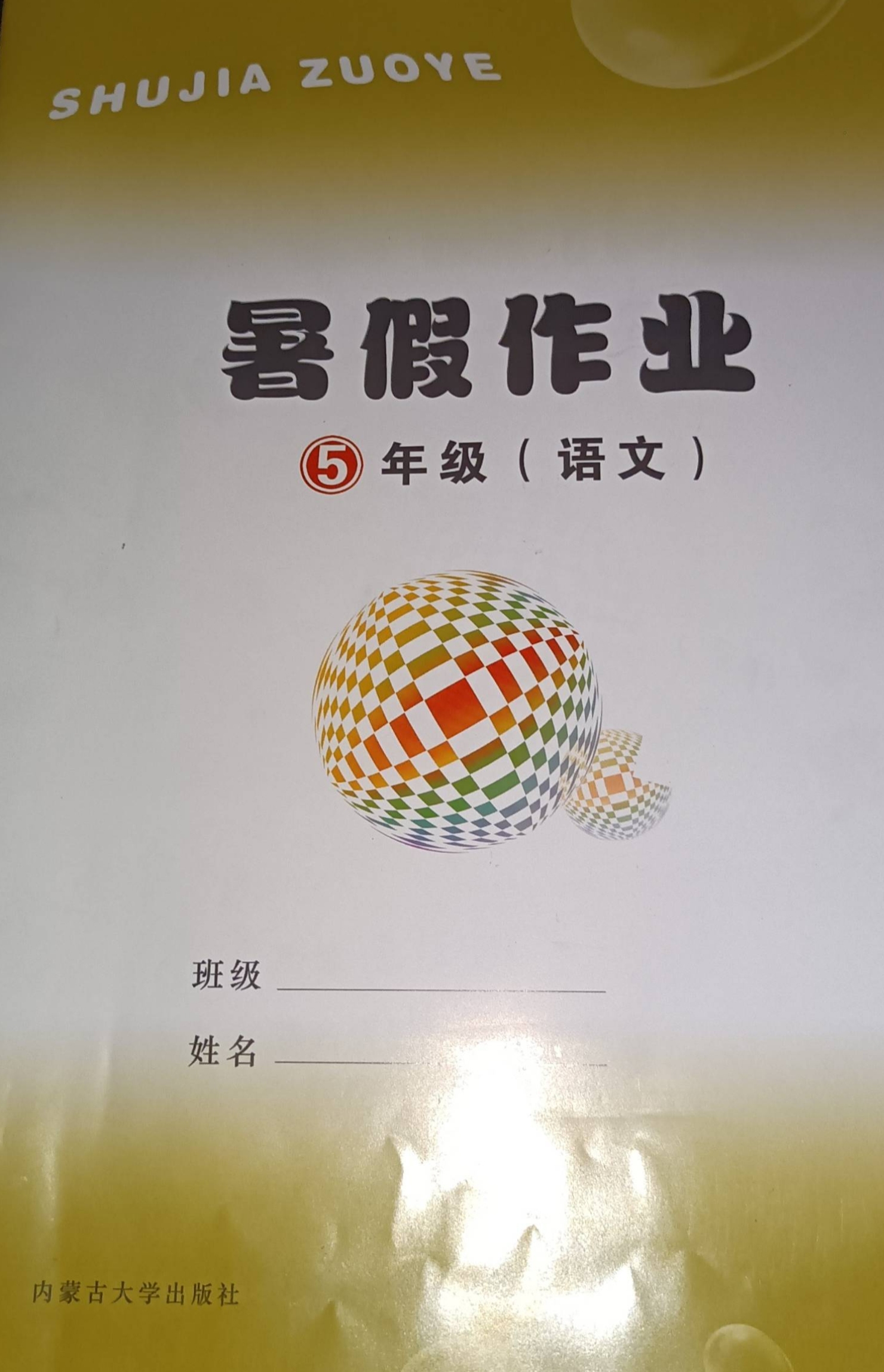 2023年暑假作业五年级语文全册通用版