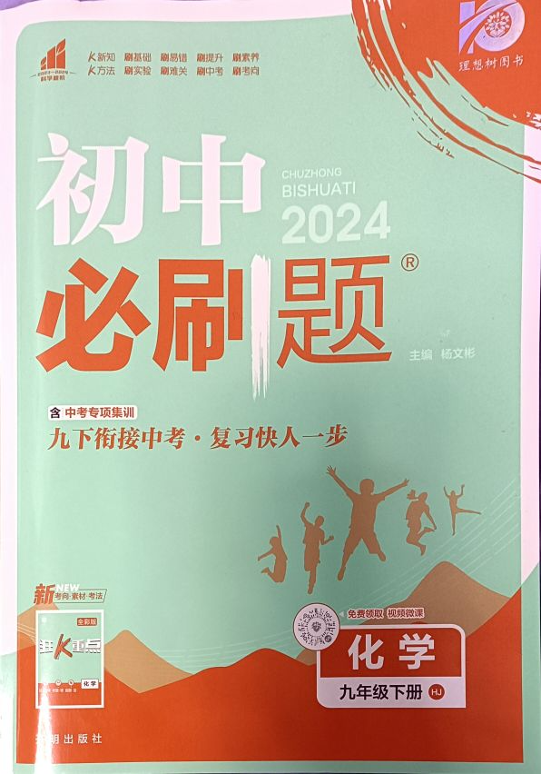 2024年初中必刷题九年级化学下册沪教版