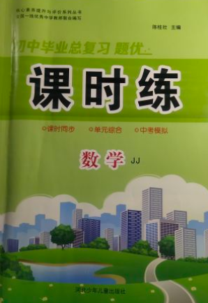 2024年初中毕业总复习 题优.课时练 九年级数学全册冀教版
