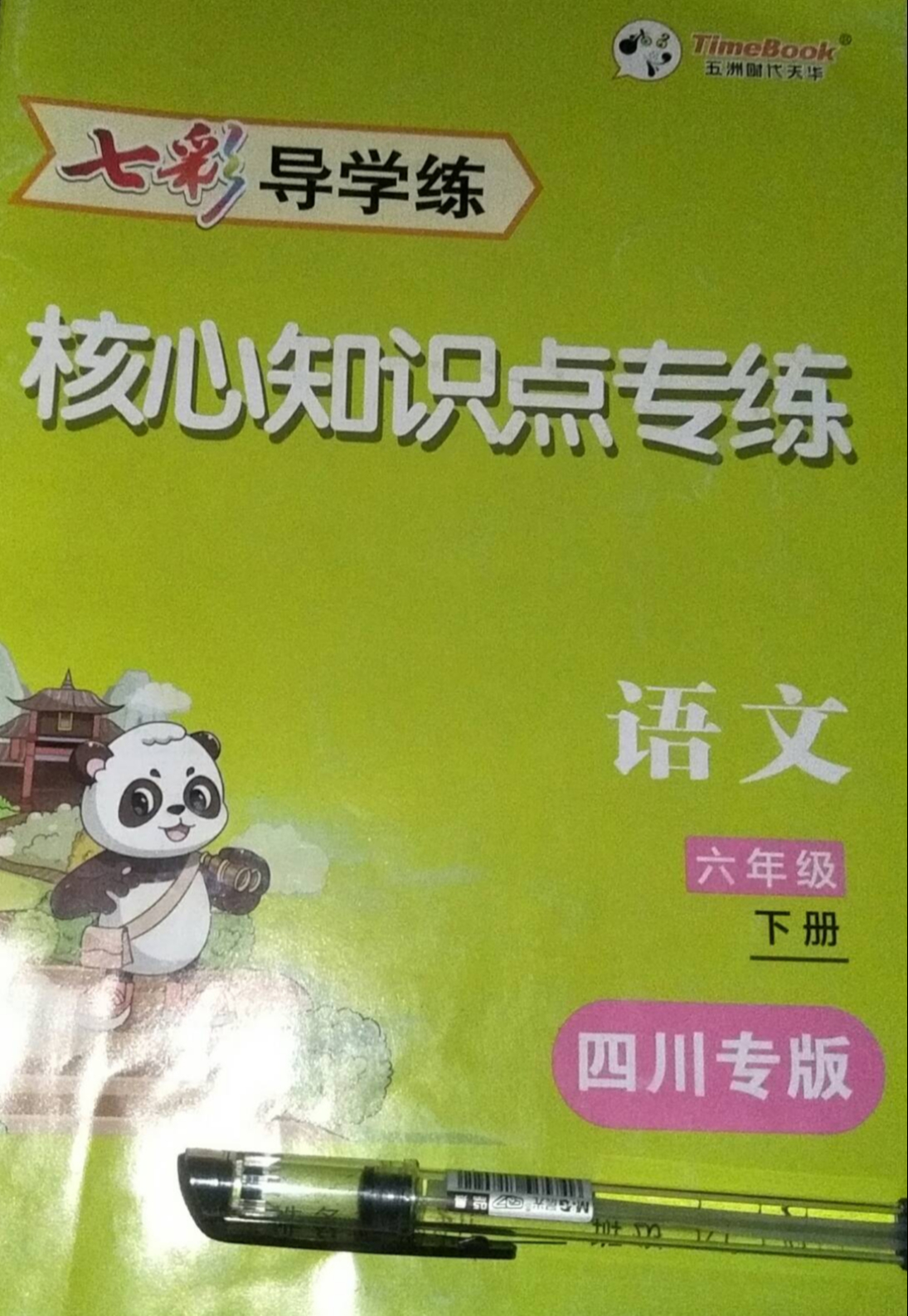 2023年七彩课堂核心知识点专练六年级语文下册四川专版