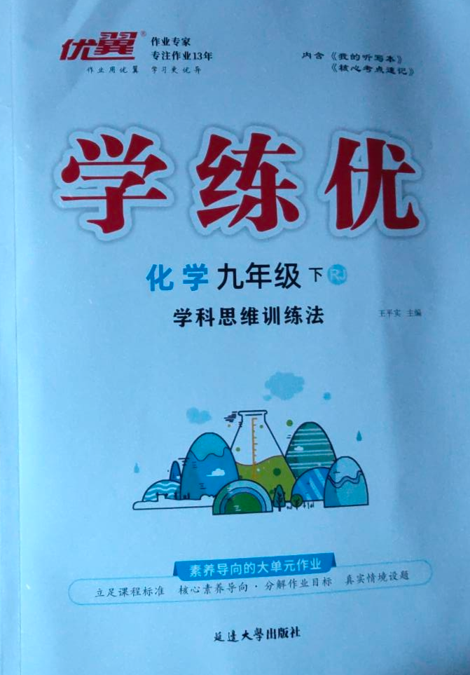 2023年学练优 学科思维训练法九年级化学下册人教版