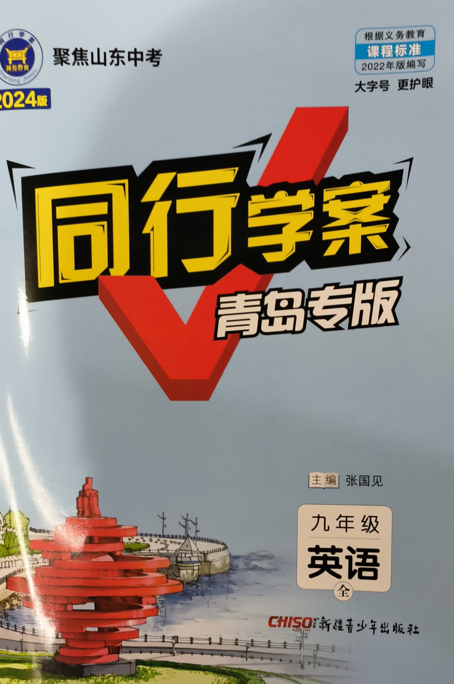 2024年同行学案九年级英语全册其他青岛专版