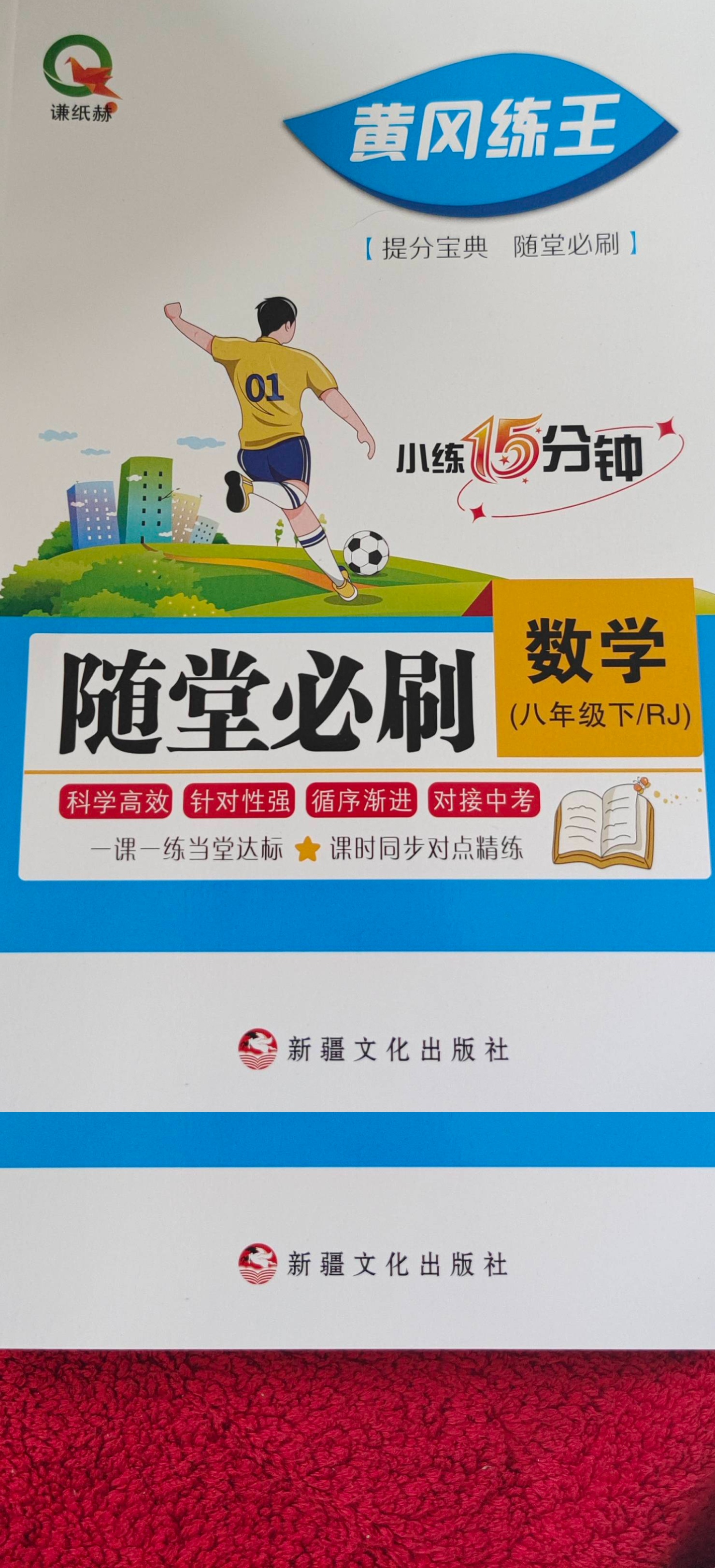 2023年随堂必刷八年级数学下册人教版