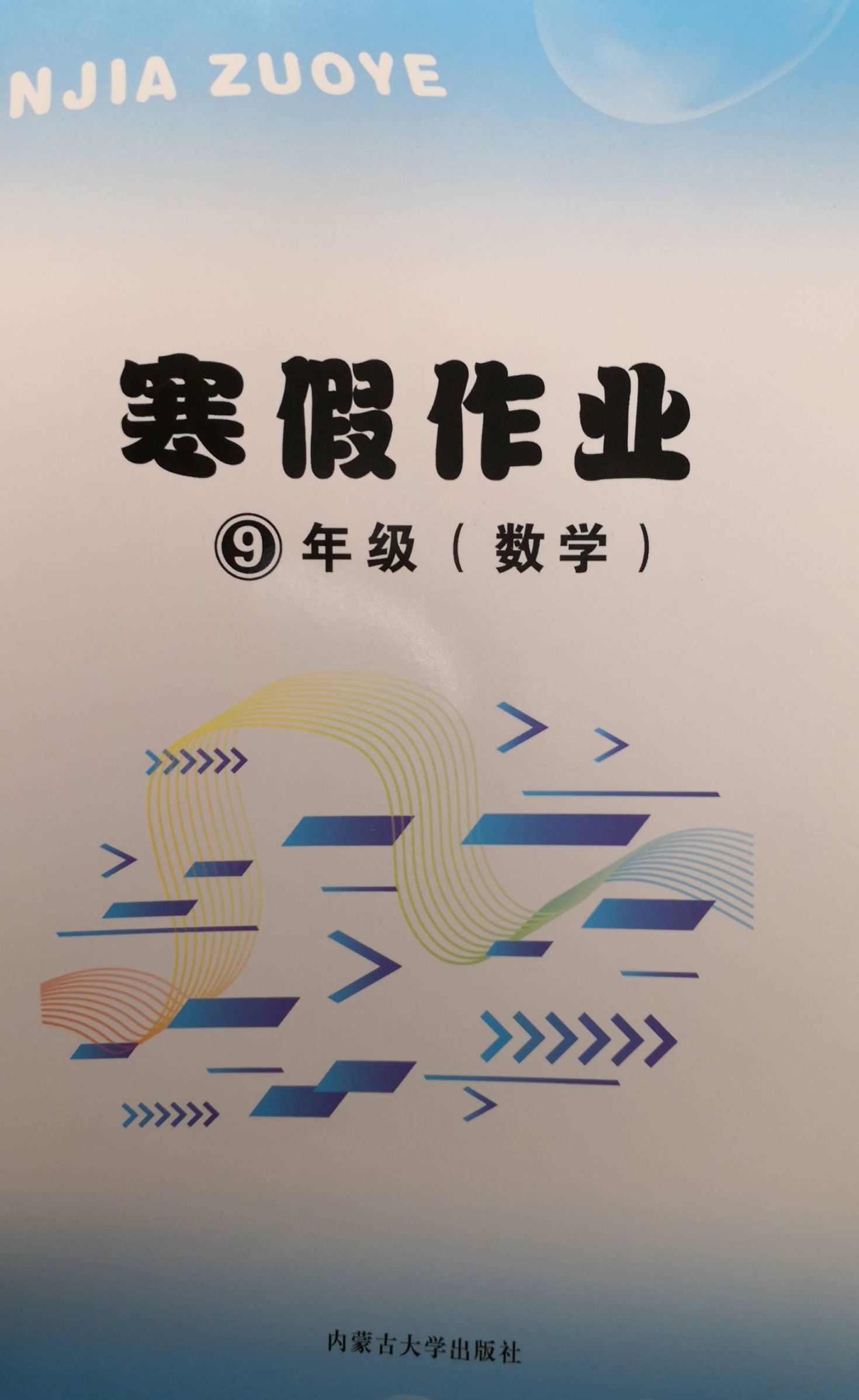 2024年寒假作业九年级数学全册通用版