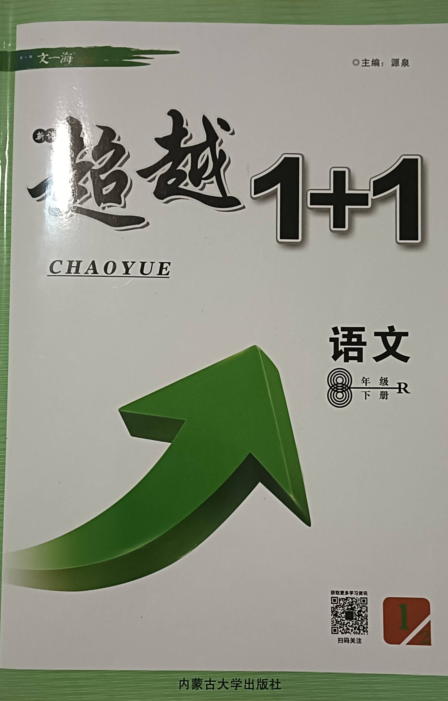 2023年超越1+1语文八年级语文下册R版