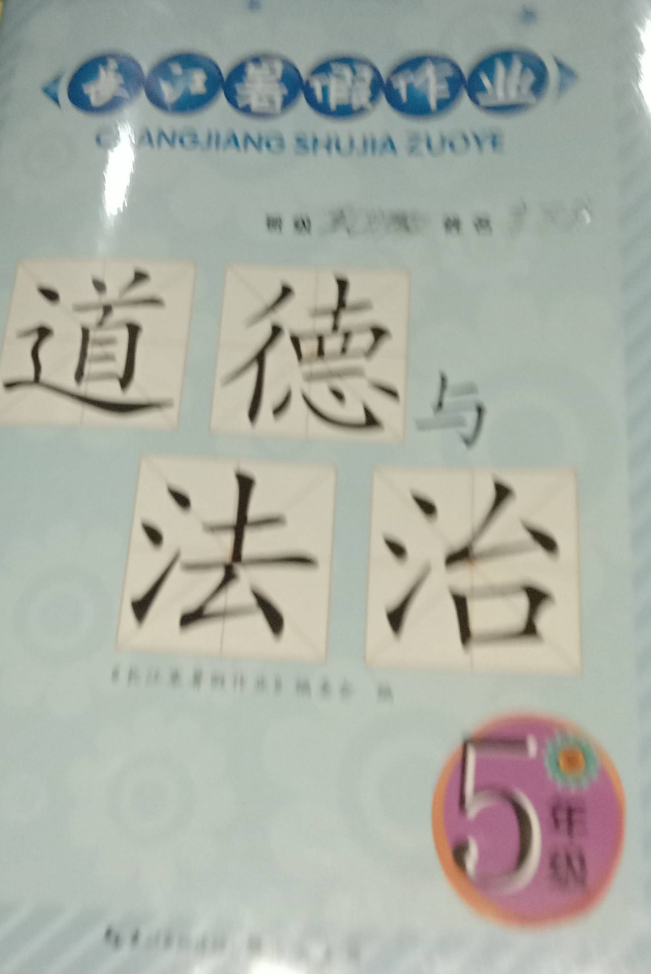 2023年长江暑假作业五年级政治下册通用版