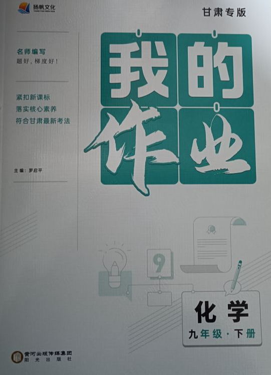 2023年我的作业九年级化学下册甘肃专版