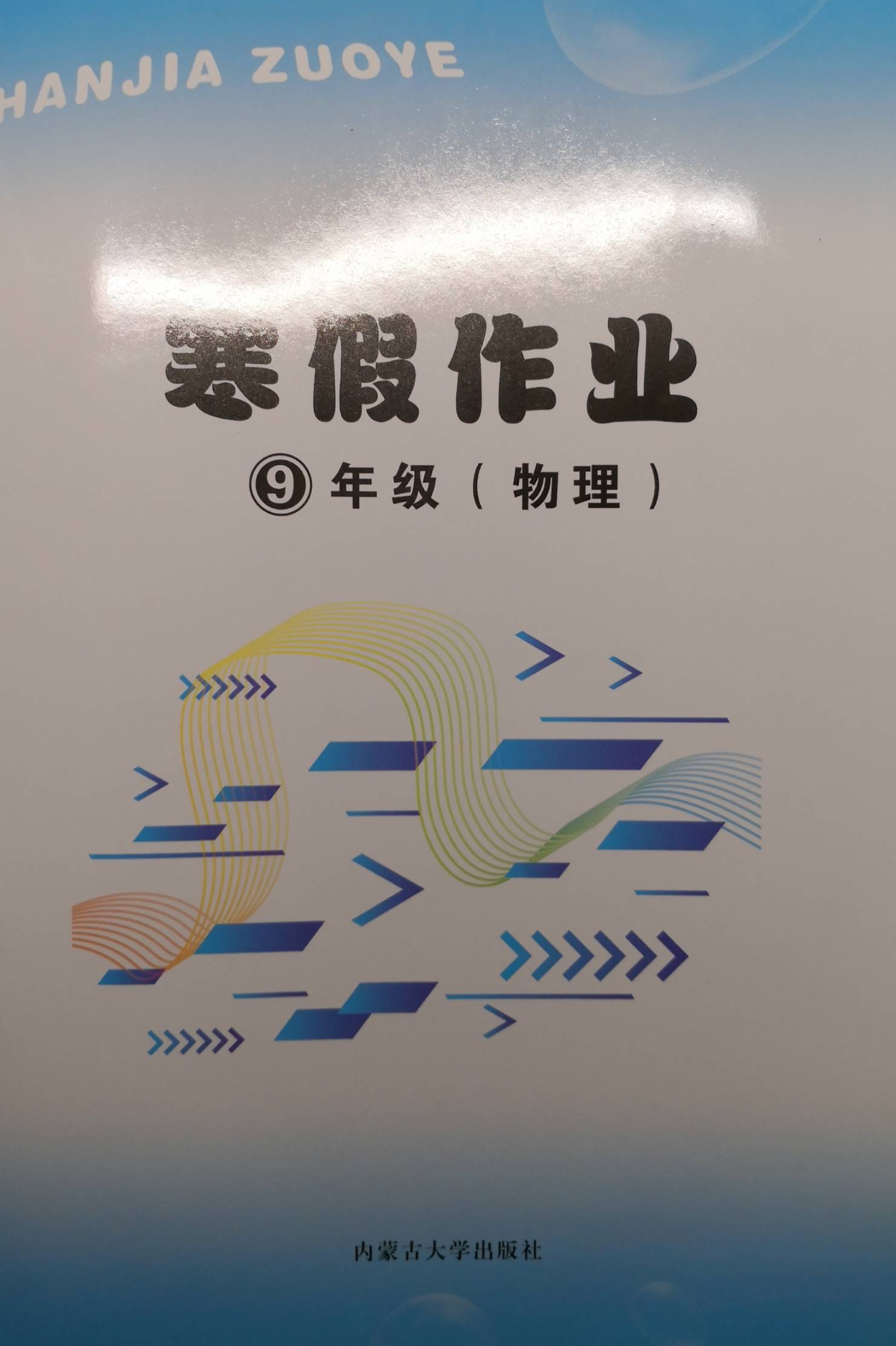 2024年寒假作业九年级物理全册通用版