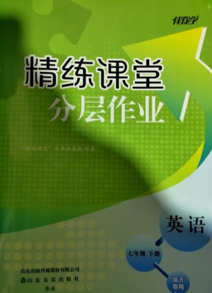 2023年精练课堂分层作业七年级英语下册临沂专版