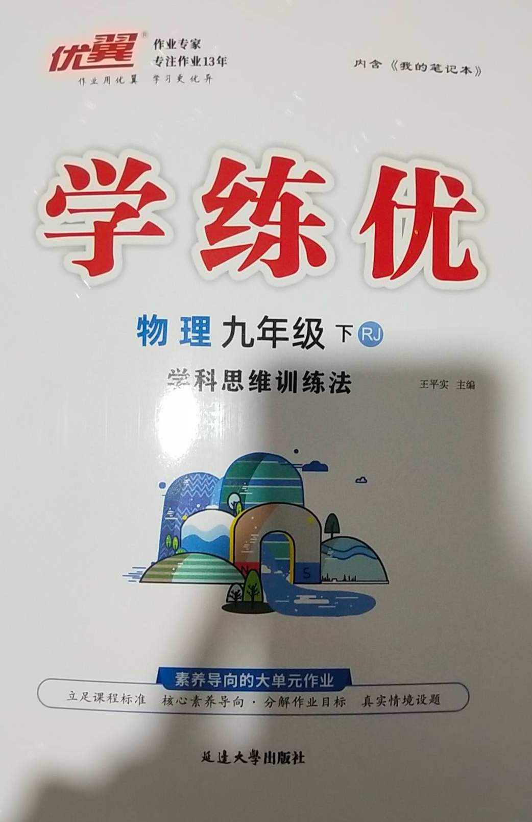 2024年学练优 学科思维训练法九年级物理下册人教版