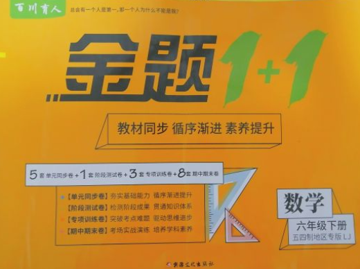 2023年金题1+1六年级数学下册鲁教版