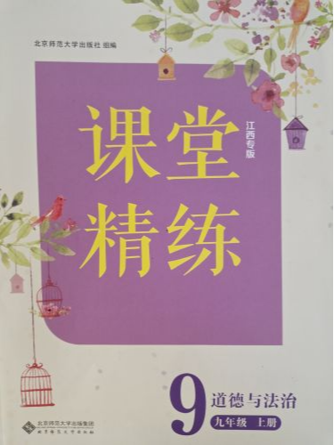 2023年课堂精练九年级政治上册其他江西专版