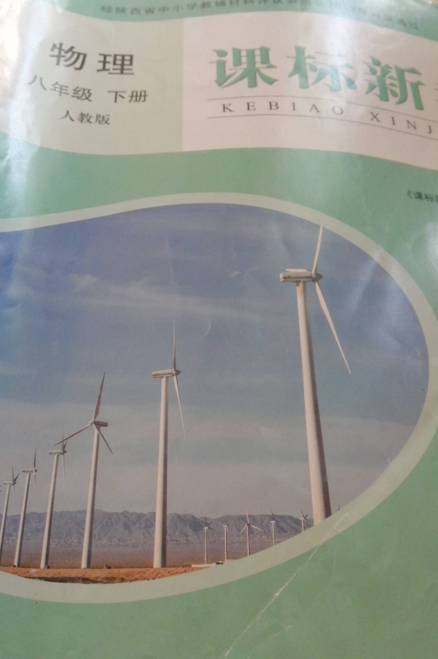 2023年课标新卷八年级物理下册人教版