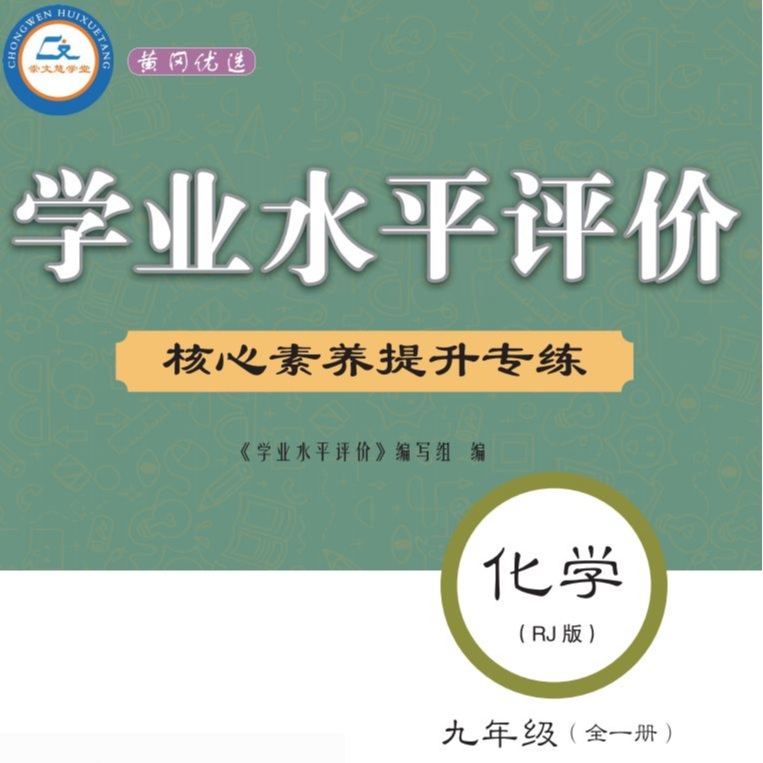 2024年学业水平评价核心素养提升专练九年级化学全册人教版