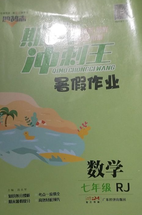 2023年期末冲刺王暑假作业七年级数学全册人教版