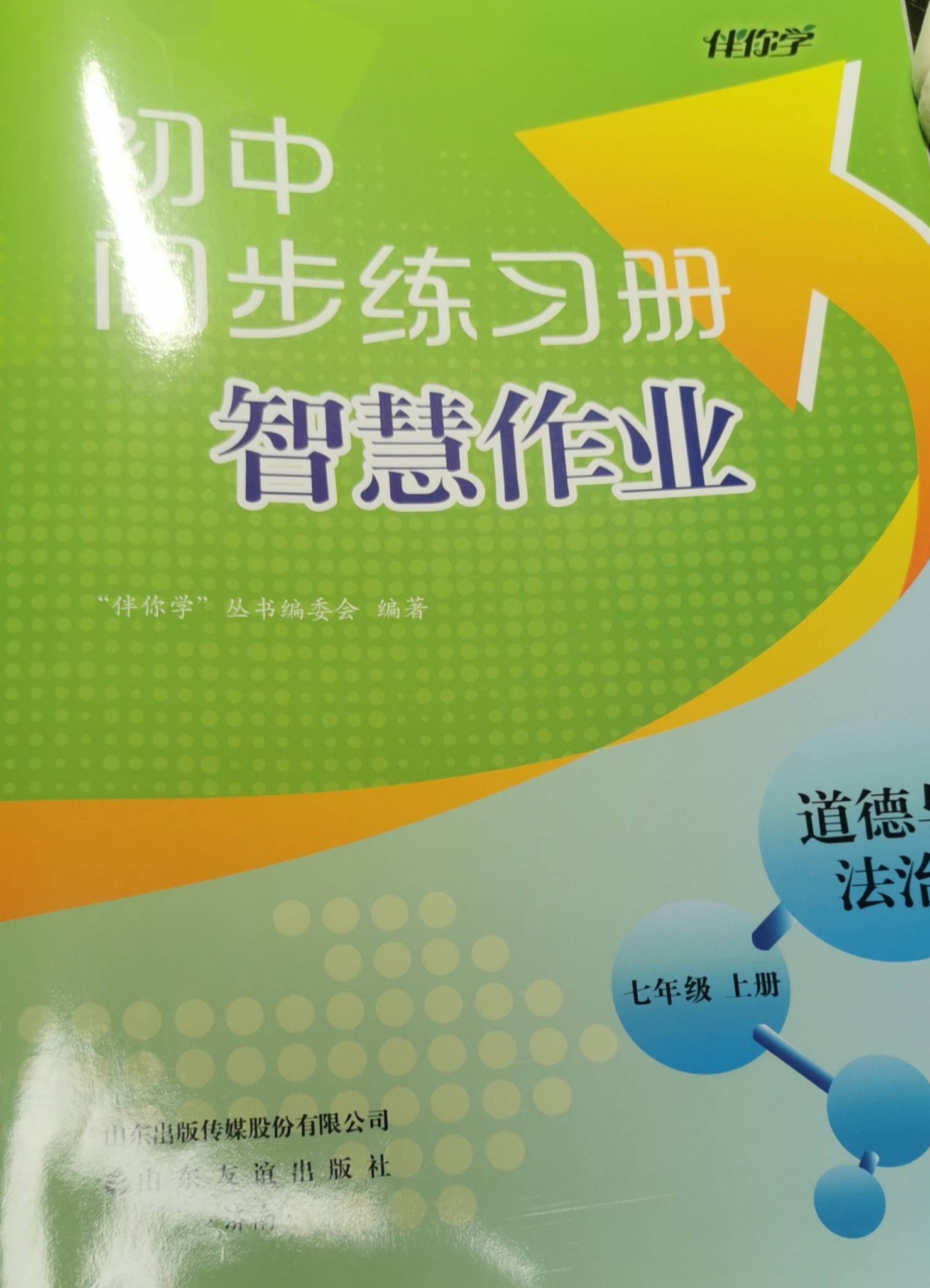 2023年初中同步练习册智慧作业七年级政治上册通用版