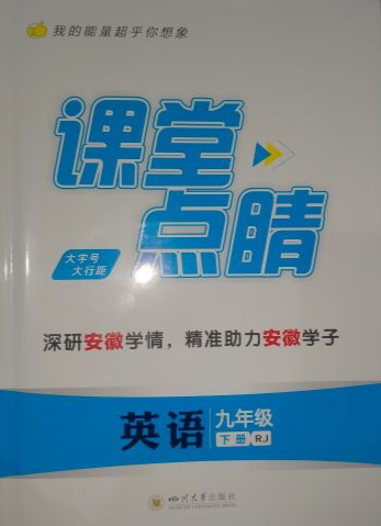2024年课堂点睛九年级英语下册人教版安徽专版