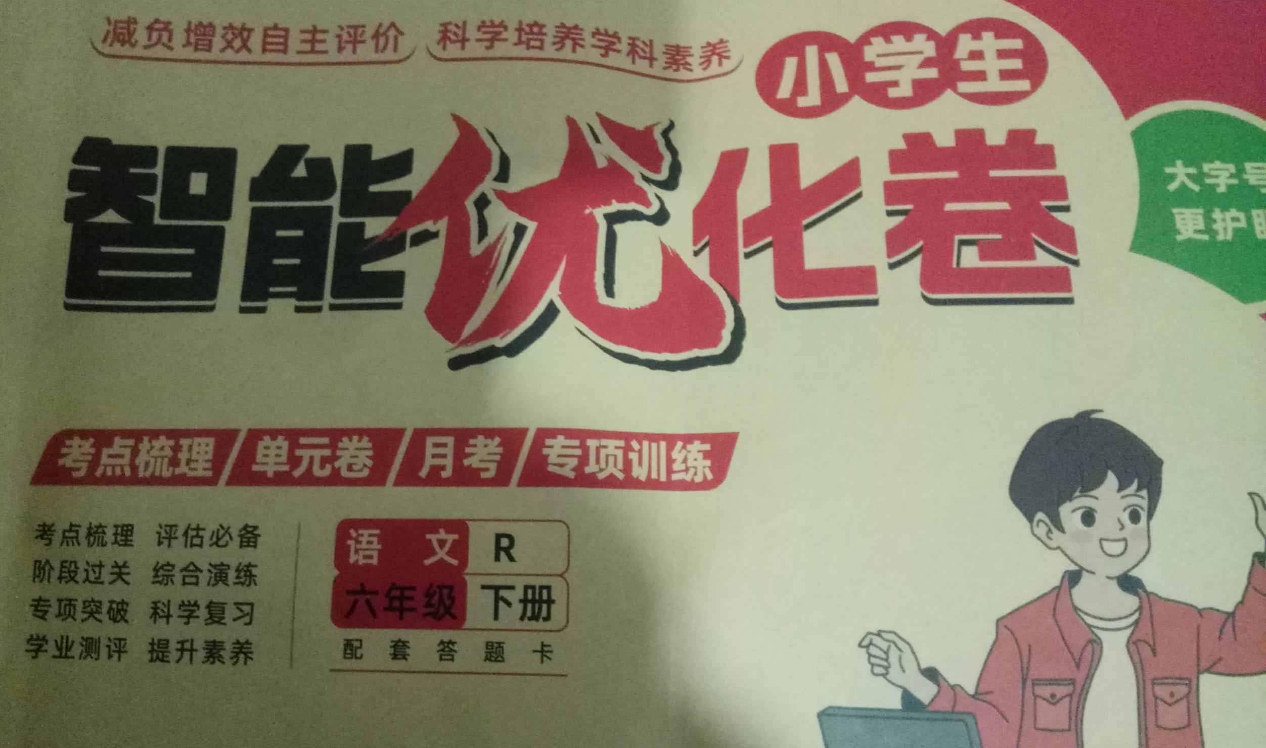 2023年智能优化卷小学语文下册R版