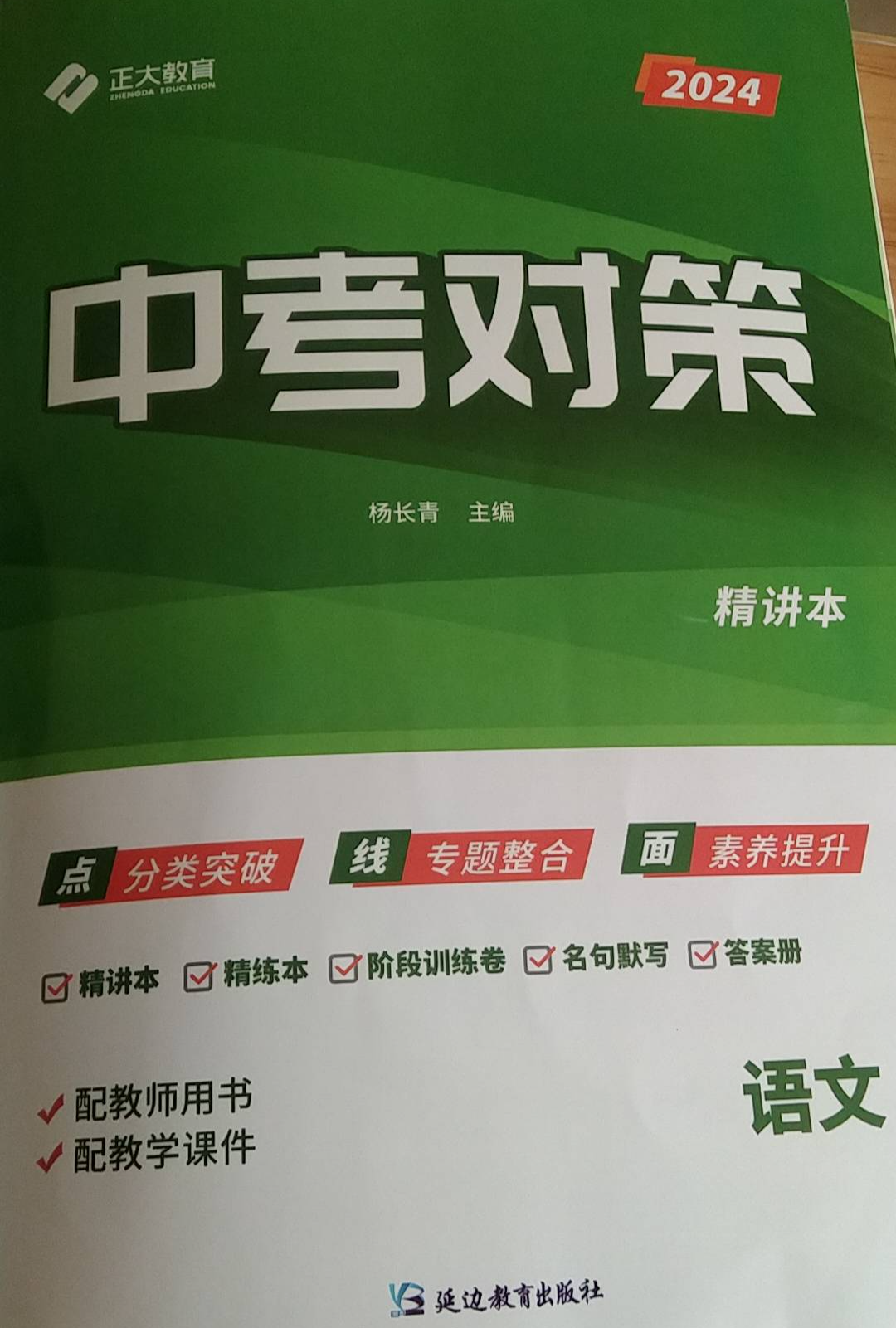 2024年中考对策精讲本初中语文全册通用版