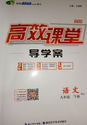 2023年高效课堂导学案九年级语文下册人教版