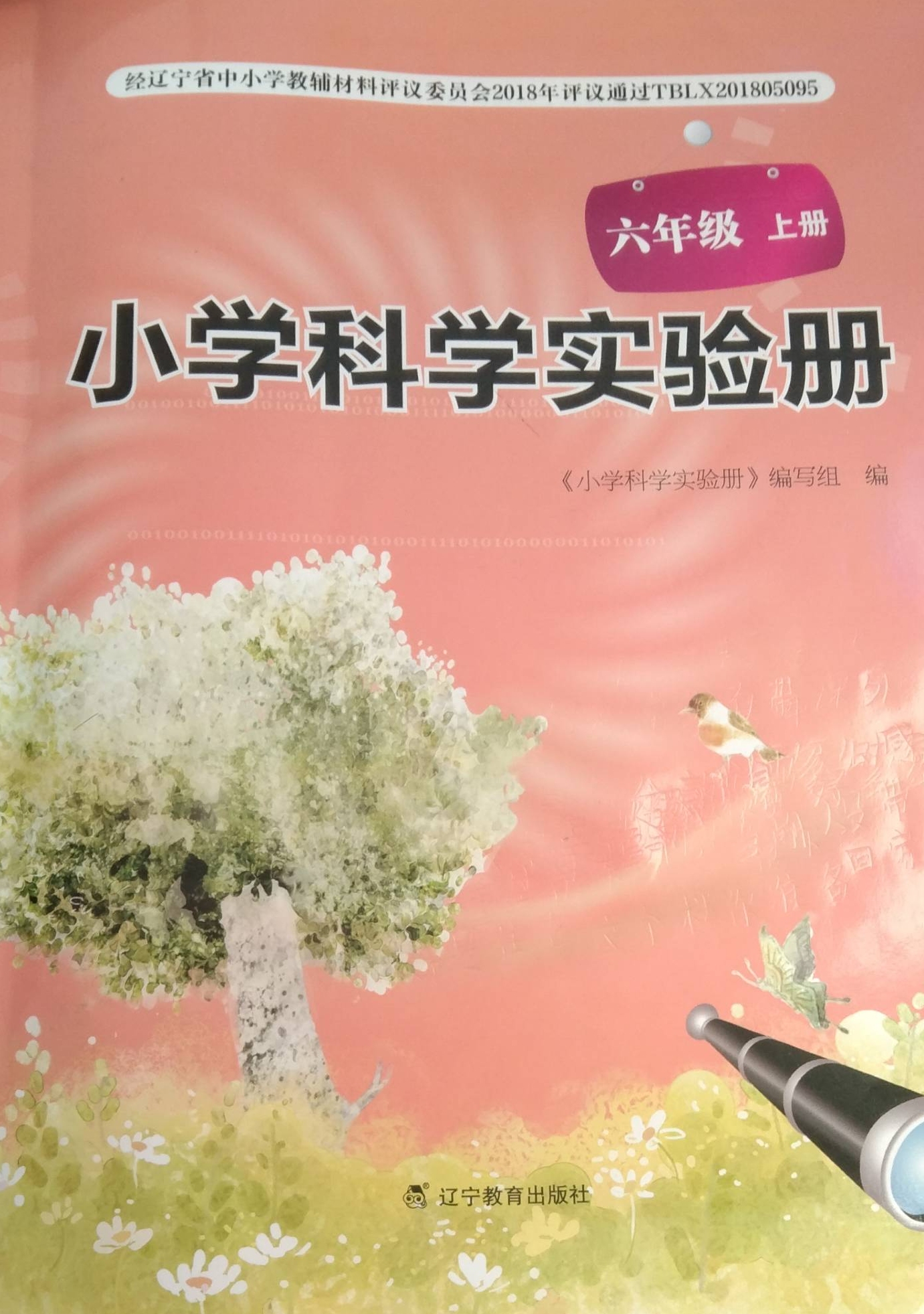 2023年小学科学实验册六年级科学上册通用版