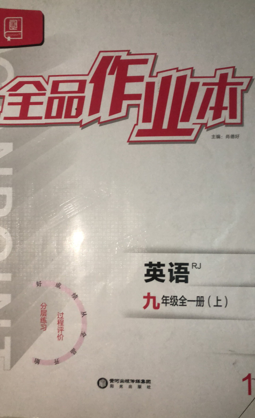 2024年全品作业本（上）九年级英语全册人教版