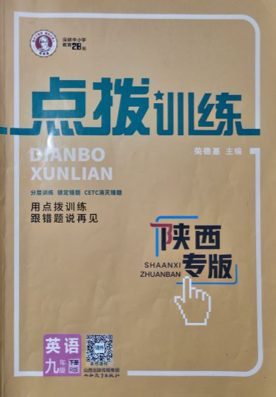 2024年点拨训练九年级英语下册R版陕西专版