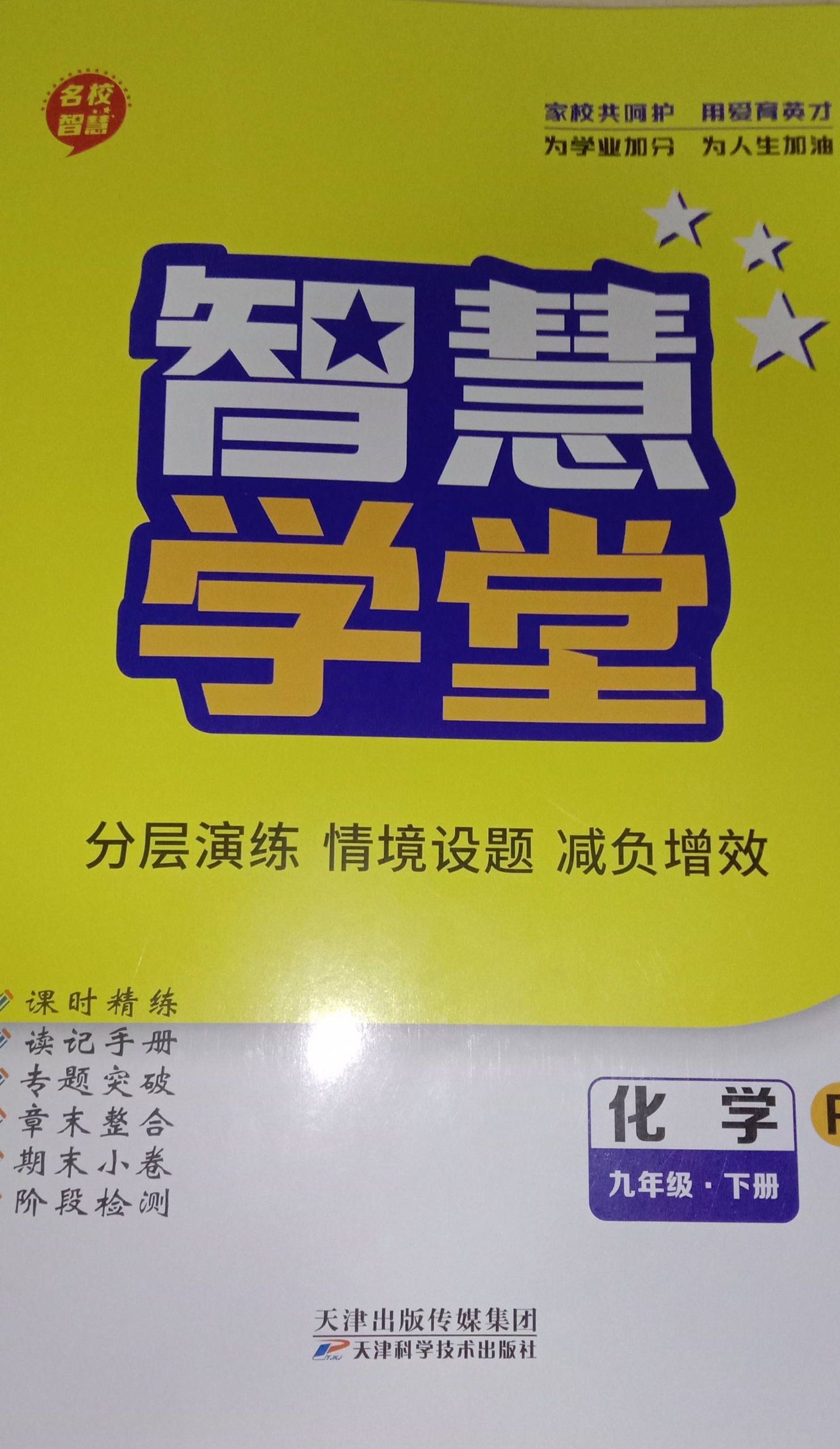 2024年智慧学堂分层演练情境设题减负增效九年级化学下册R版