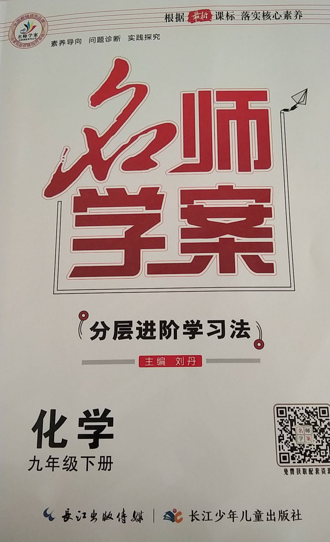 2024年名师学案分层进阶学习法九年级化学下册通用版
