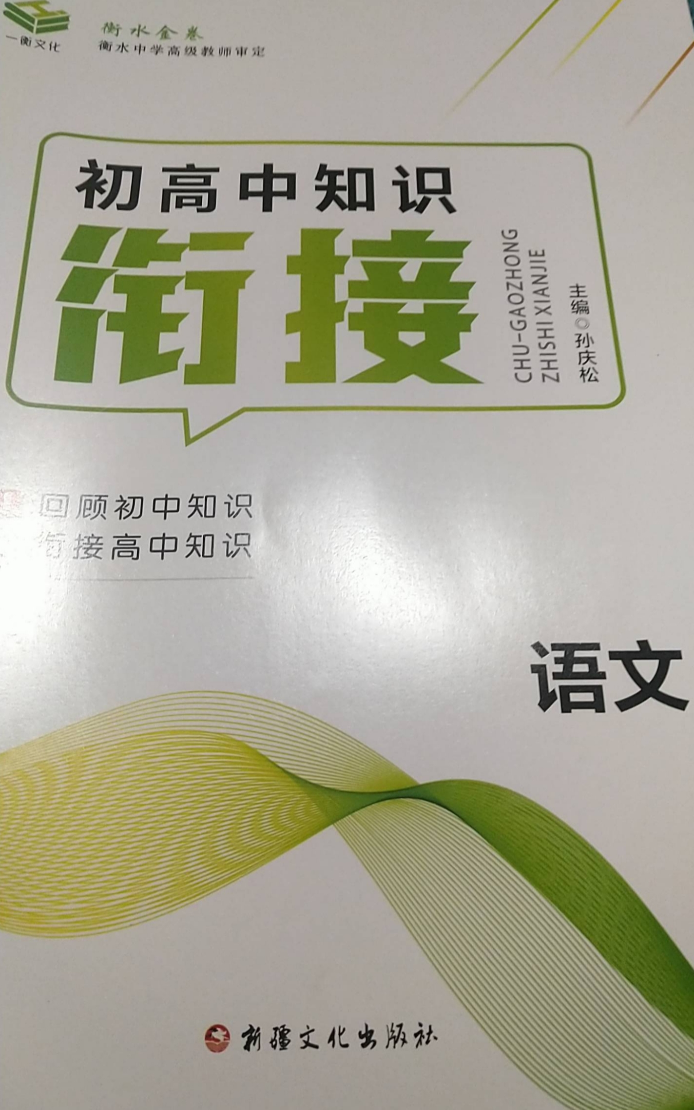 2023年初高中知识衔接初中语文全册通用版