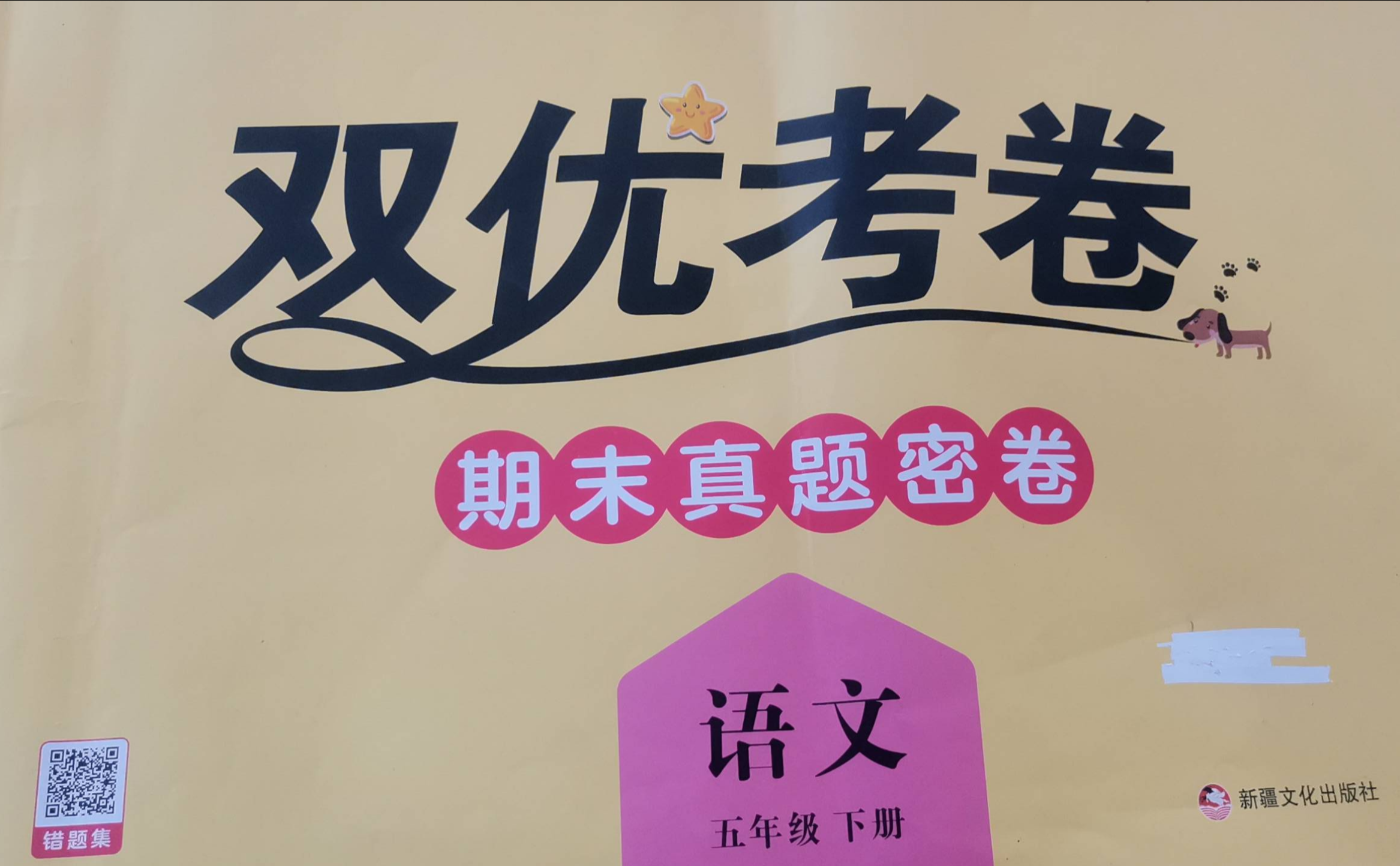 2023年双优考卷；期末真题密卷五年级语文下册人教版