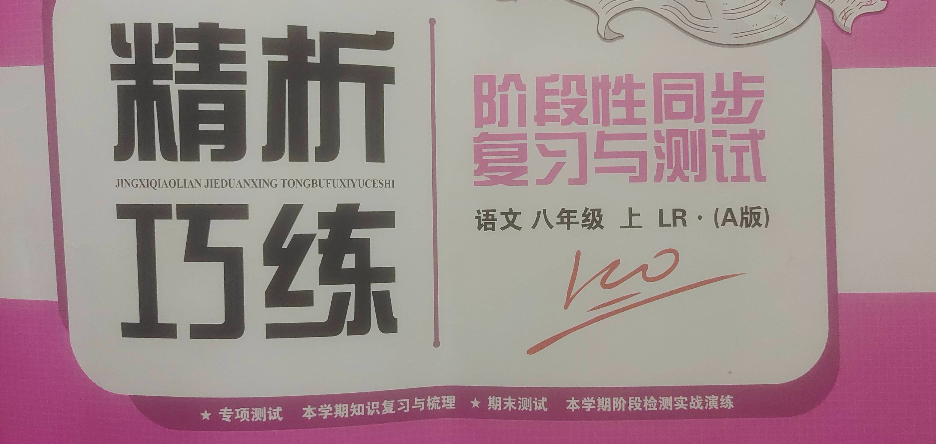2023年精析巧练阶段性同步复习与测试（A版）八年级语文上册鲁人版