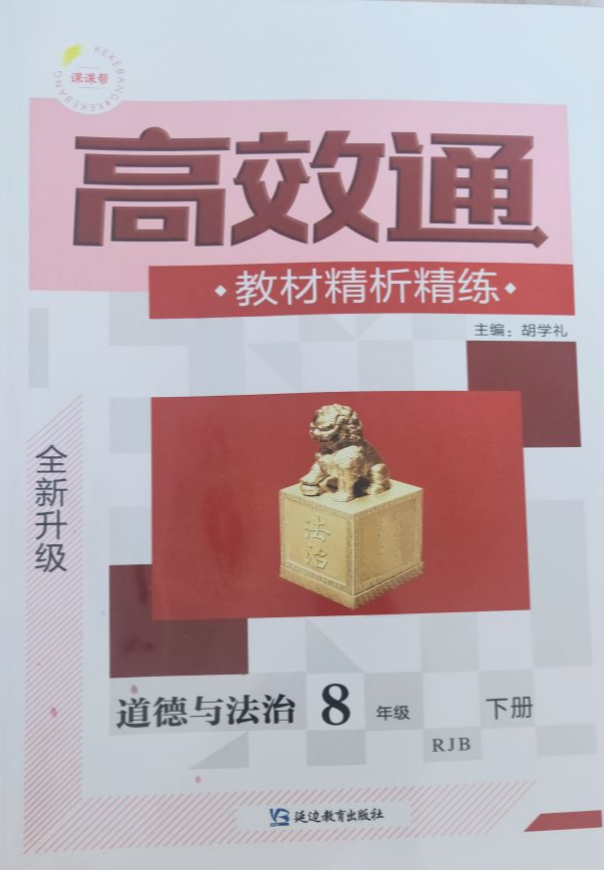 2023年高效通八年级政治下册人教B版