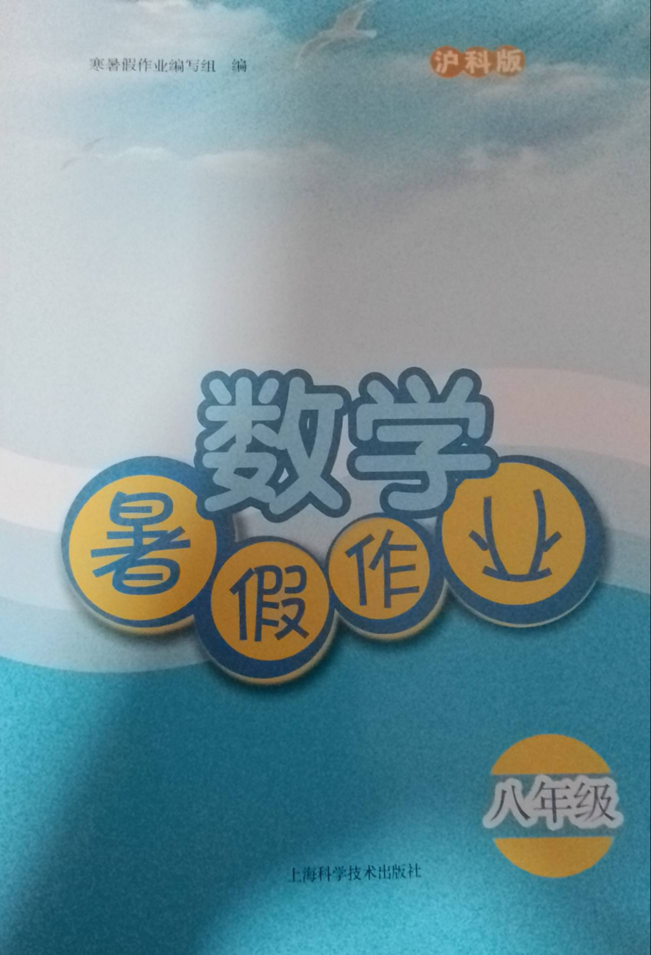 2023年暑假作业八年级数学下册沪科版
