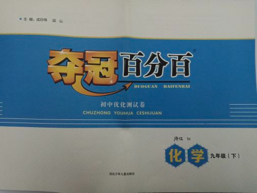 2024年夺冠百分百初中优化测试卷 九年级化学下册通用版