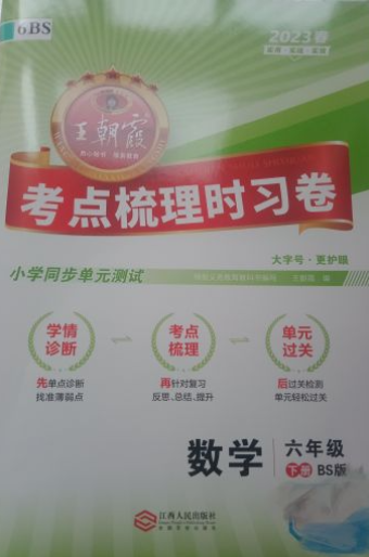2023年王朝霞考点梳理实习卷六年级数学下册北师大版