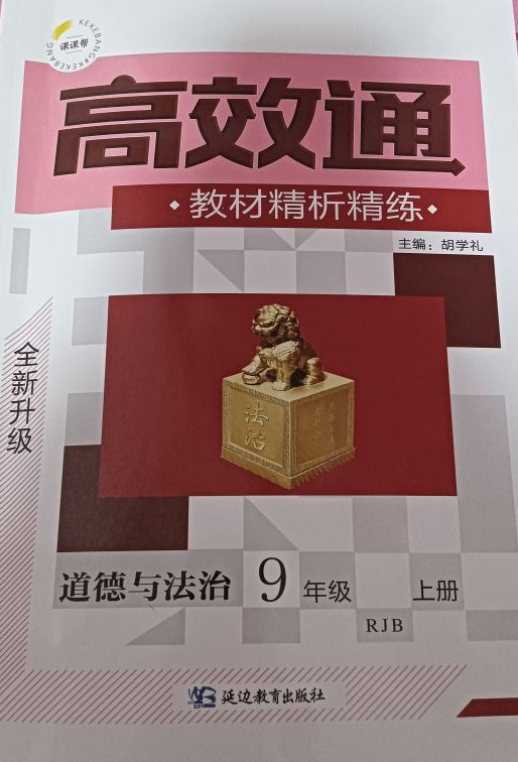 2023年高效通教材精析精练九年级政治上册人教B版