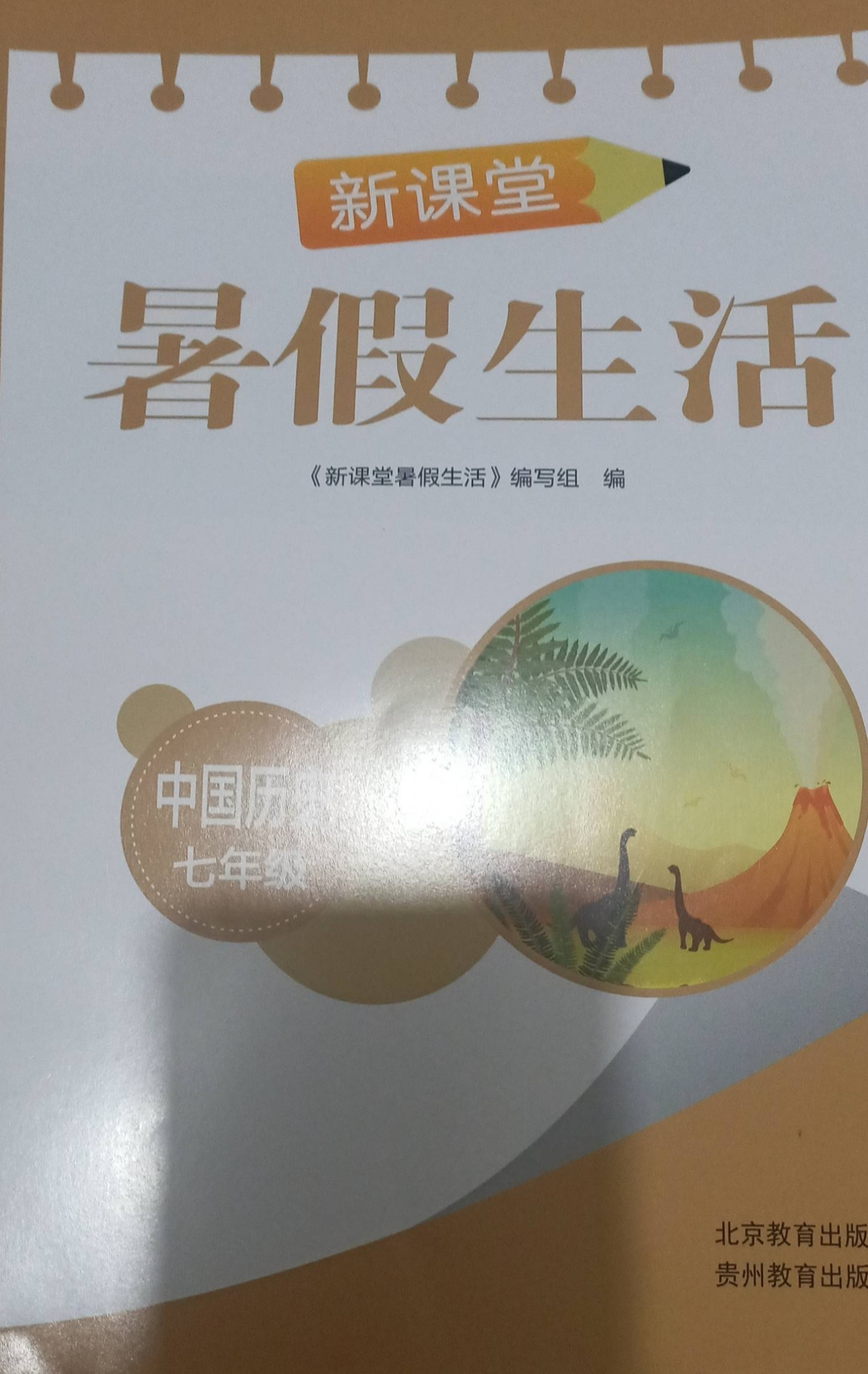 2023年新课堂暑假生活七年级历史全册通用版