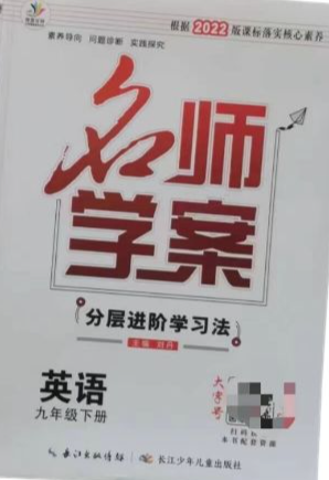 2023年名师学案 分层进阶学习法九年级英语下册通用版
