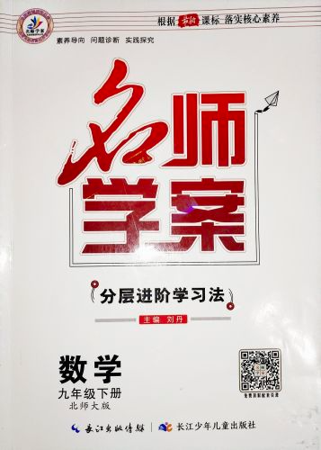 2024年名师学案 分层进阶学习法九年级数学下册北师大版