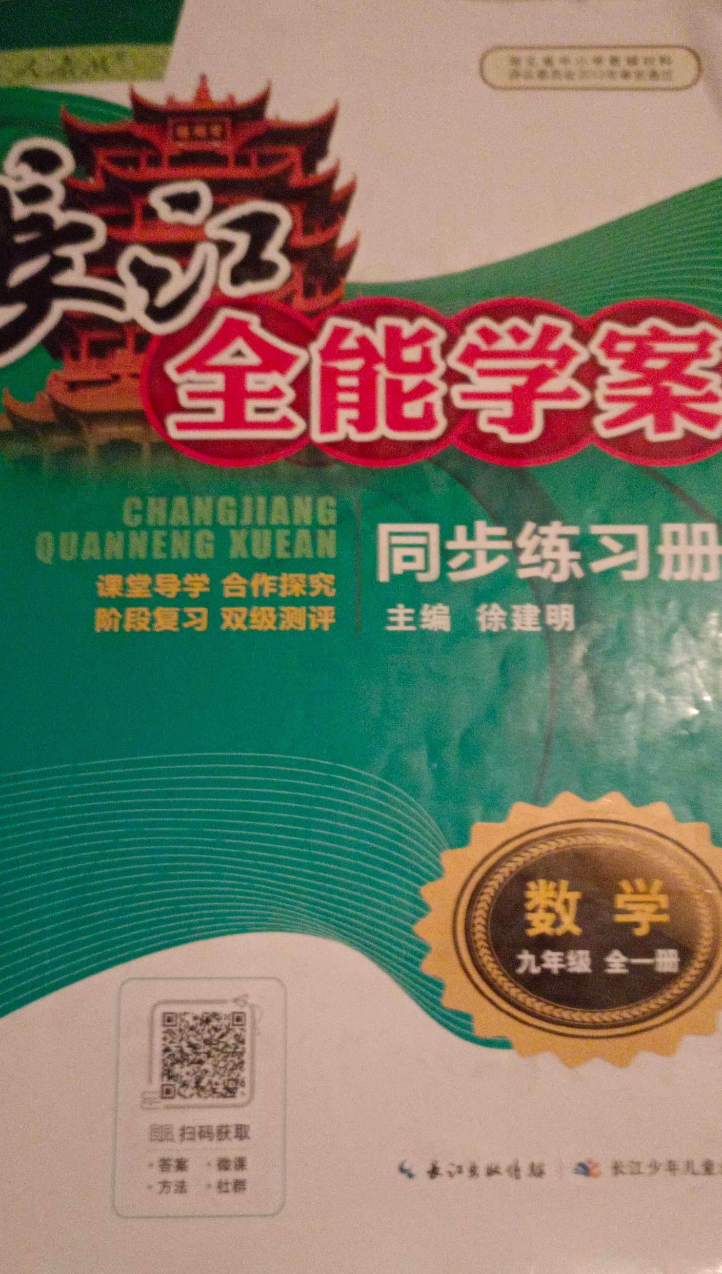 2024年长江全能学案同步练习册九年级数学全册人教版