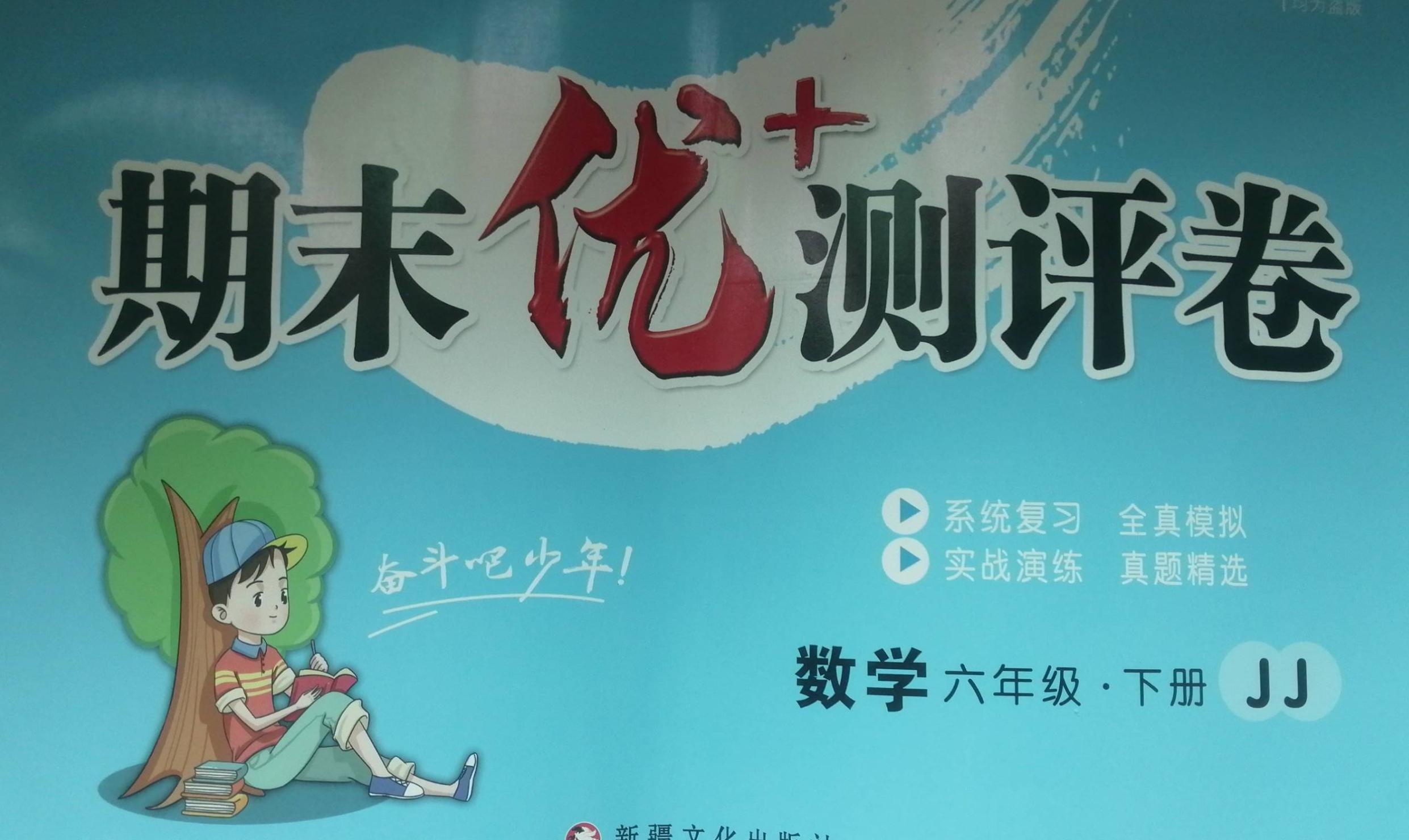 2023年期末优+测评卷六年级数学下册冀教版