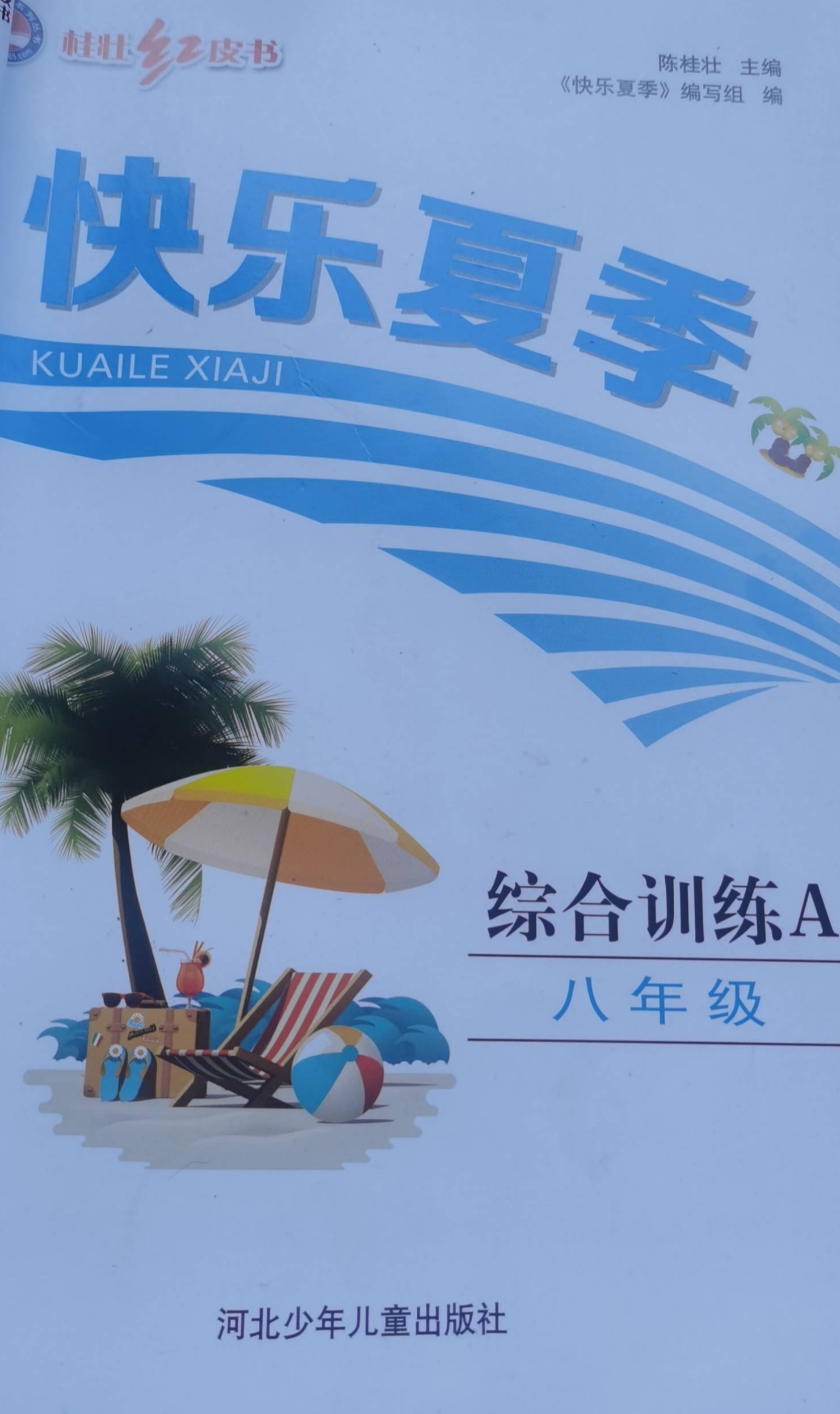 2023年综合训练A 快乐夏季八年级全册通用版
