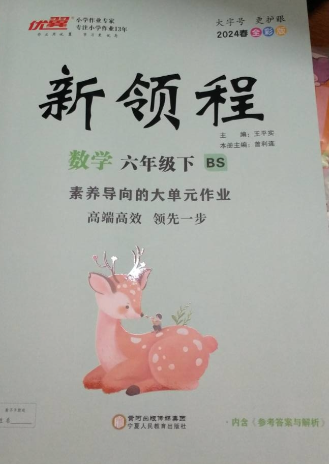 2023年新领程素养导向的大单元作业 高端高效 领先一步六年级数学下册北师大版