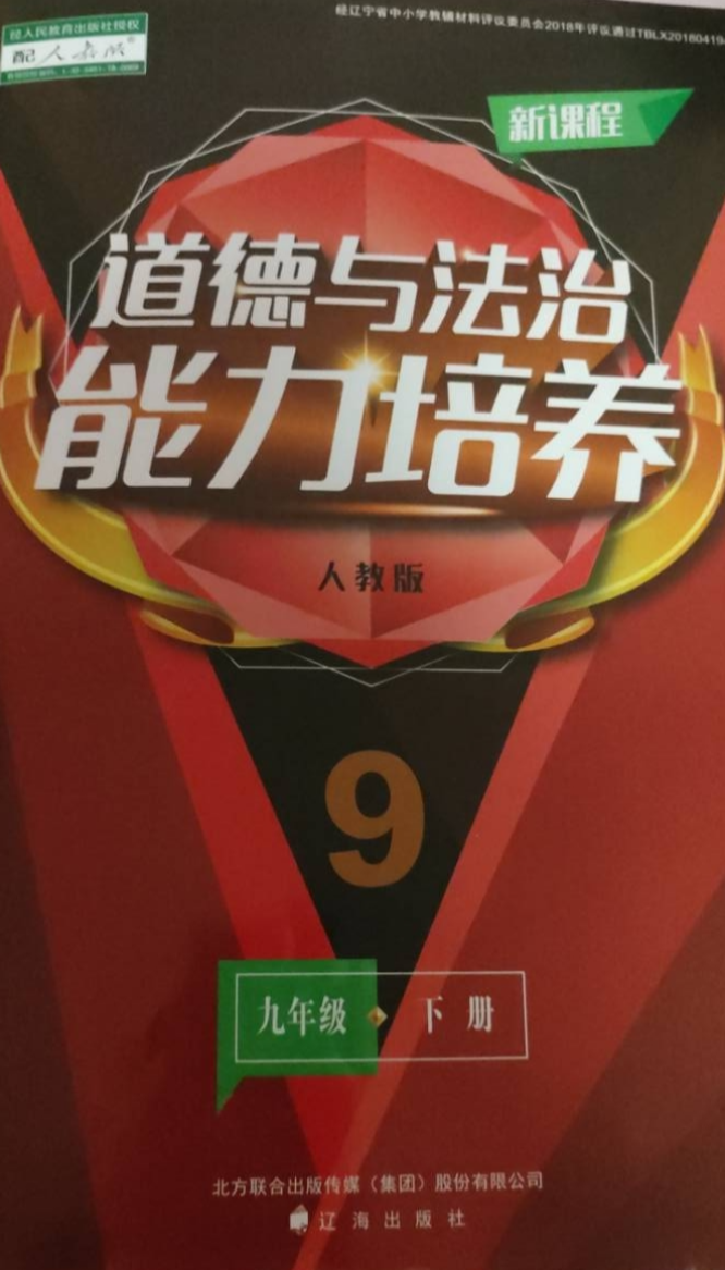 2023年道德与法治能力培养九年级政治下册人教版